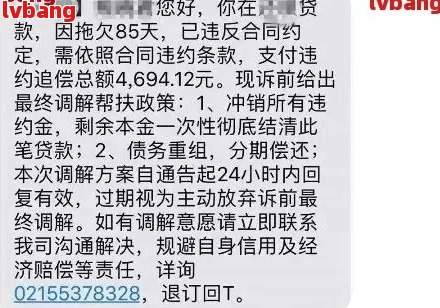 闪电逾期上岸：真实性、方法与影响全面解析