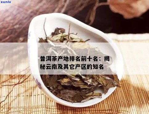 云南普洱茶十大名牌：顶级品质与独特风味的完美结合