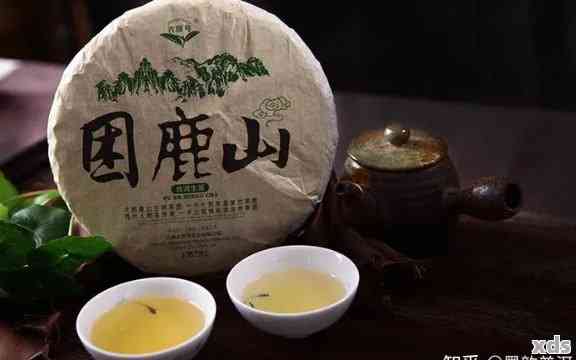 四大山头普洱茶：探索与独特味道的结合