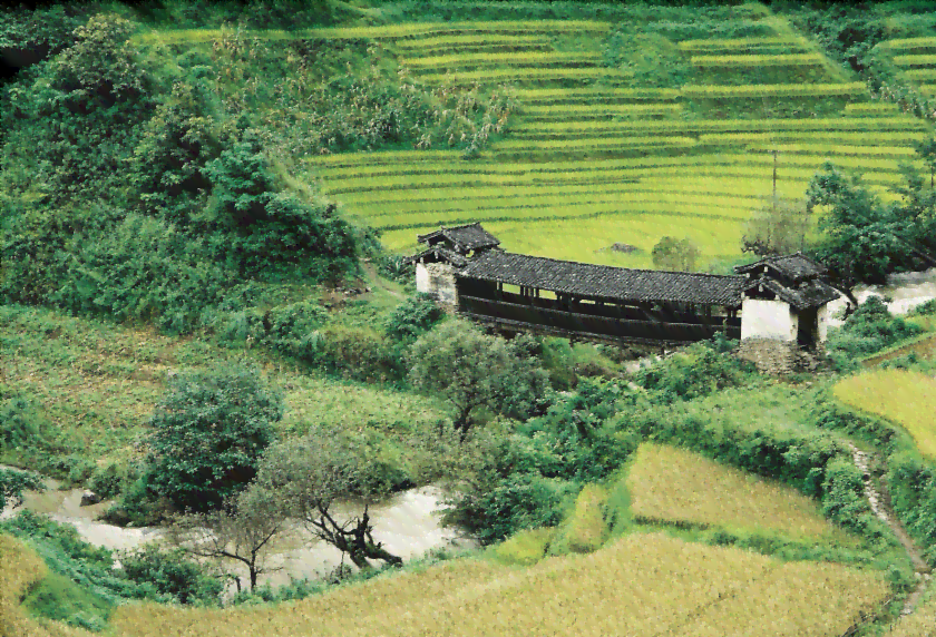 四大普洱茶区山头数量概览：云南，广西，四川和湖南