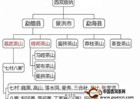 普洱茶六大山头排行榜：全面解析各山头特色与品质，助您选购优质普洱茶