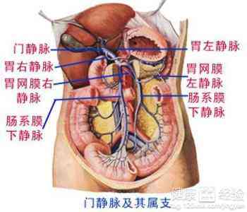 肝血管瘤患者是否可以饮茶叶茶？探讨茶叶与肝血管瘤的关系及适宜的饮用方法