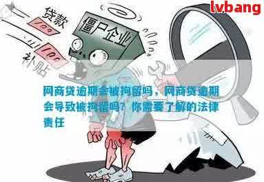 人被拘留了，网贷欠款如何解决？全面指南为您解答！