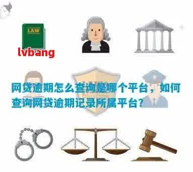 如何查询网贷逾期记录及其解决方案：全面指南