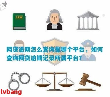 网贷逾期哪里查看：记录、信息、结果与报告解析