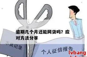 如何确定网贷逾期责任方：平台查询全攻略