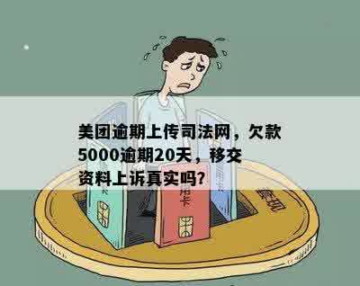 美团逾期20天，资料移交与上诉过程详解