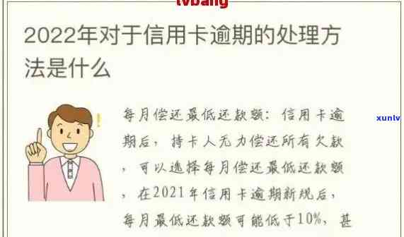 信用卡还款政策全面解析：逾期罚款、更低还款额、还款日期等详细规定