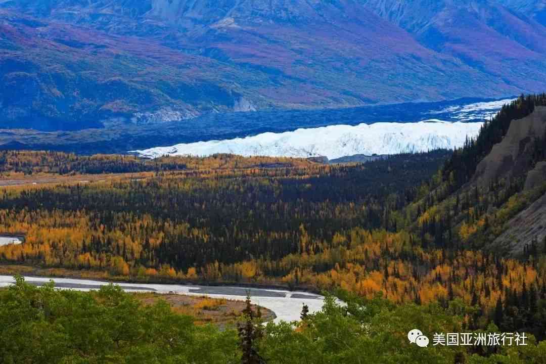 泰山与阿拉斯加旅游指南：探索两大壮丽自然景观的全方位攻略和实用信息