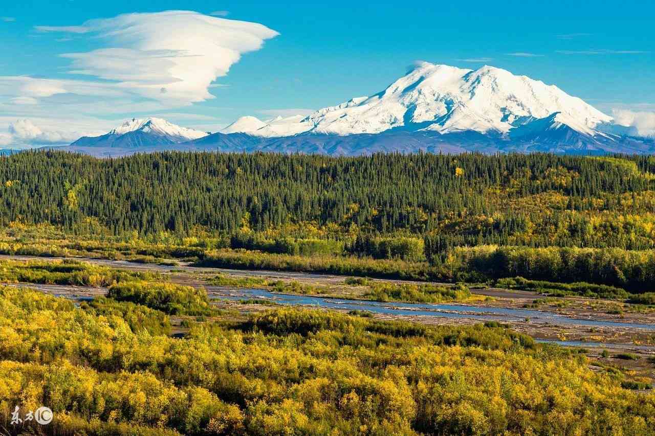 泰山与阿拉斯加旅游指南：探索两大壮丽自然景观的全方位攻略和实用信息