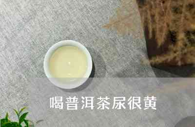 备孕期间喝普洱茶：可能的影响及其科学解释