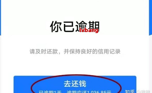 新逾期的借呗是否会影响开设淘宝店铺？探讨解决方案与建议