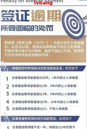 逾期签证限制：如何解除？可能的后果与应对策略全面解析