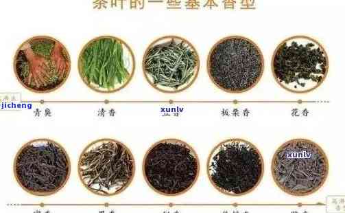 口感的普洱茶排名：前十名中，哪款普洱茶的口感？