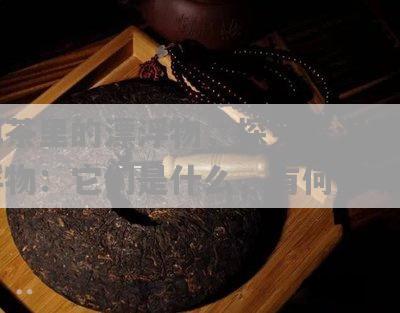 在普洱茶中发现细小漂浮物：原因与影响分析