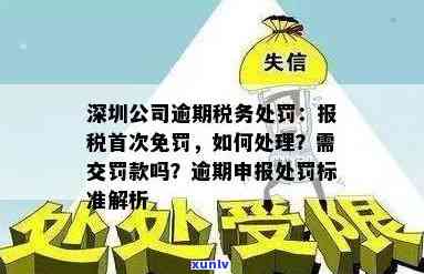 新深圳个体户逾期报税罚款细则解析，如何避免罚款及处理方法一文详解