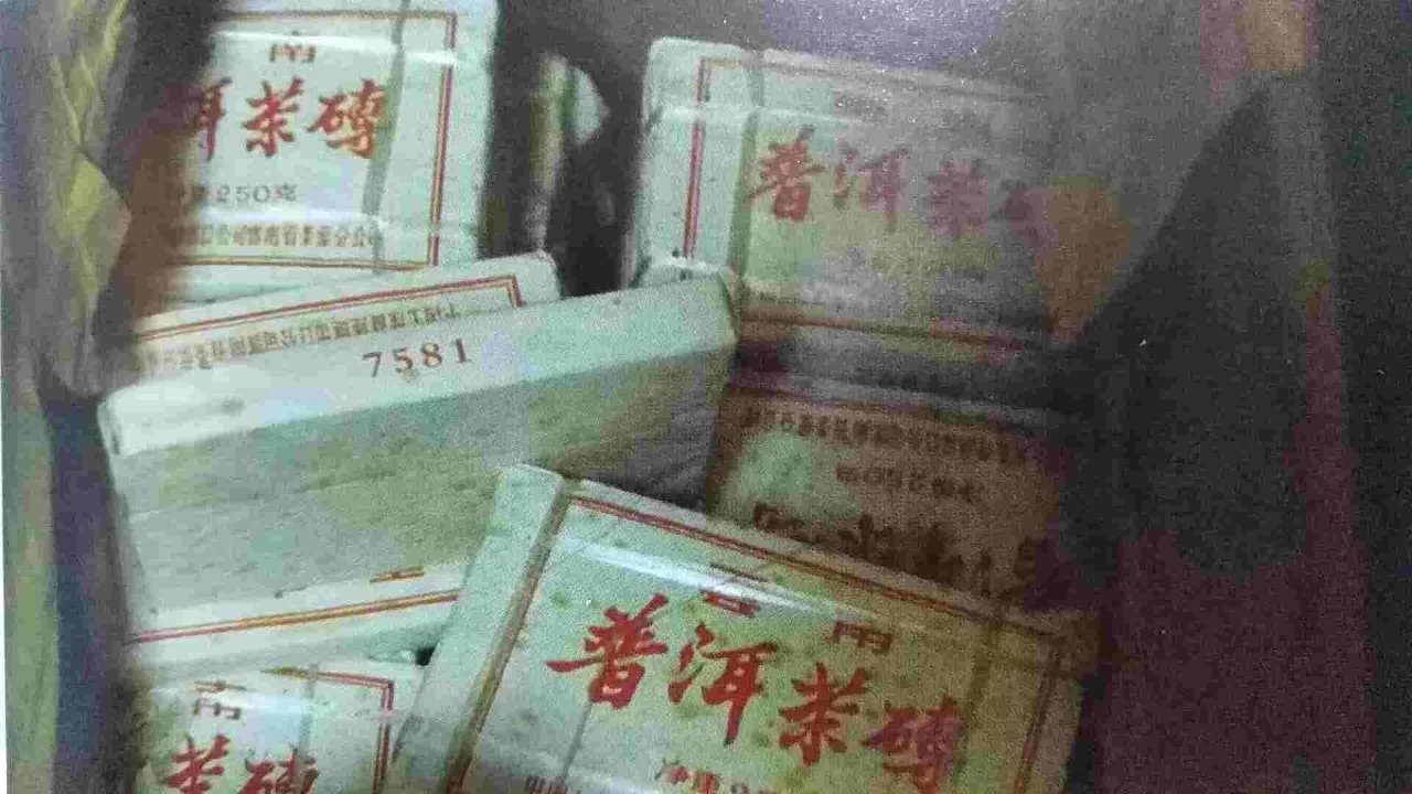 中国普洱茶产业全景解析：产量数据、市场动态与发展趋势