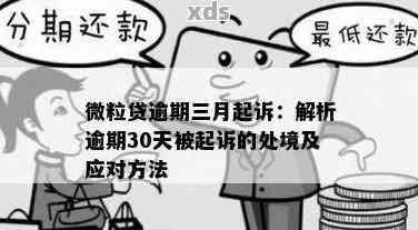 微立贷逾期后的财产保全起诉期限：详细解读与预测