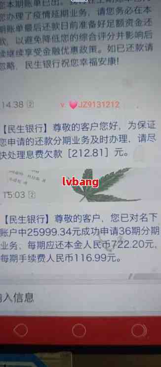 民生银行欠款2万逾期长达2年，需还款14万？合法性及相关政策解析