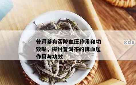 普洱茶对血压的影响：降压原理与适用人群详解