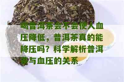 普洱茶对血压的影响：降压原理与适用人群详解