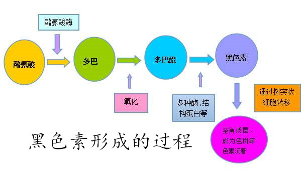 戴玉越来越亮的原因：探讨多种因素及其影响