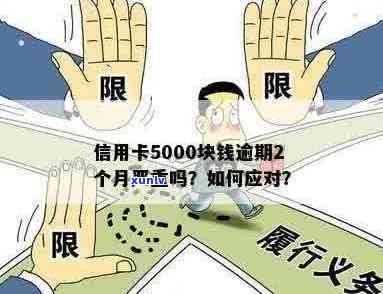 信用卡逾期5000元：后果详解与应对策略