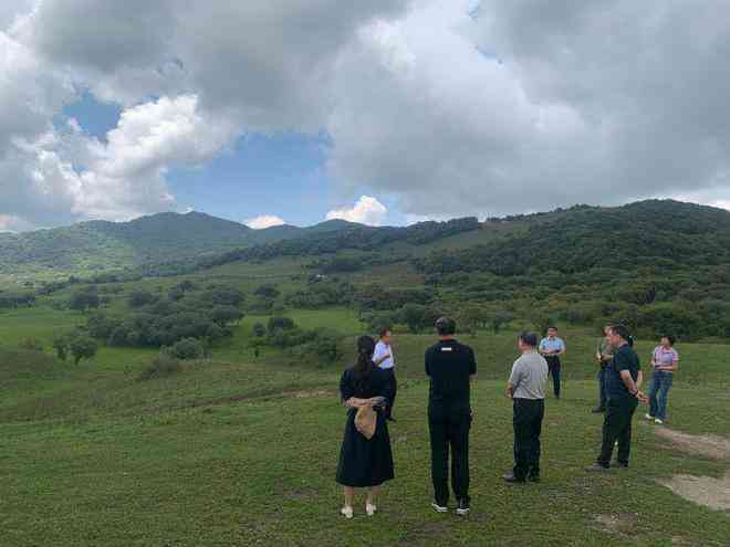 青海民和旅游景点大全：了解当地著名景点及特色活动