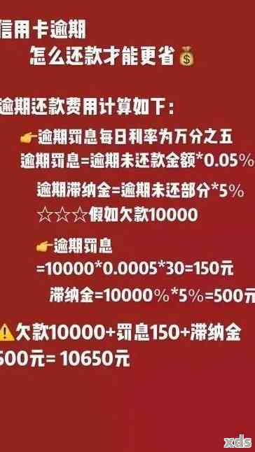 信用卡5000额度逾期一年要还多少钱：逾期利息与后果全解析