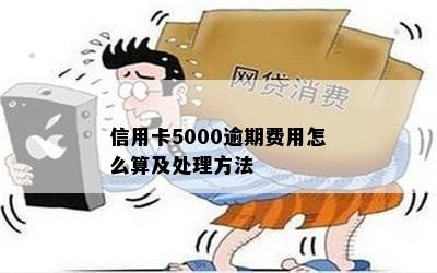 信用卡5000逾期了怎么办