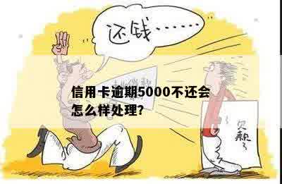 信用卡5000逾期了怎么办