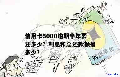 信用卡5000逾期了怎么办