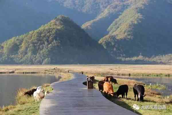 探索青海民和的自然奇观与文化宝藏：旅游攻略与游玩建议