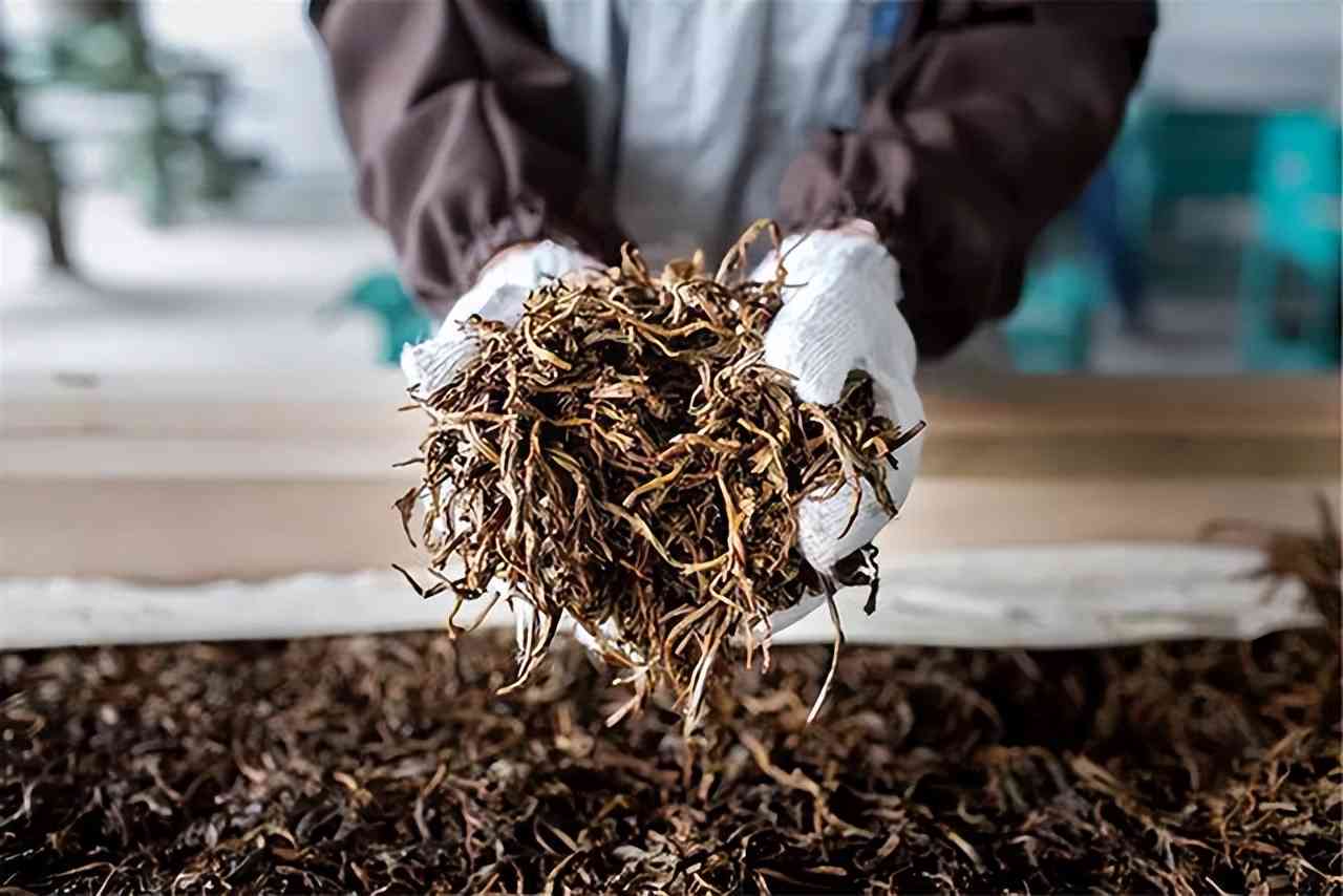 生普洱茶用开水煮吗？能喝吗？有吗？会中吗？