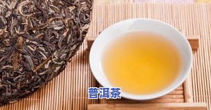 泡制普洱茶时，枸杞子的推荐用量以及注意事项