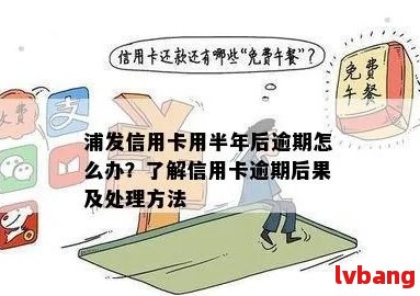 浦发信用卡逾期还款期限已过，如何进行全面处理和解决？