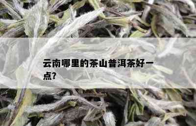 去云南山里买普洱茶好不好