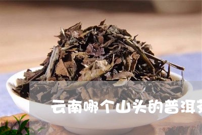 去云南山里买普洱茶好不好