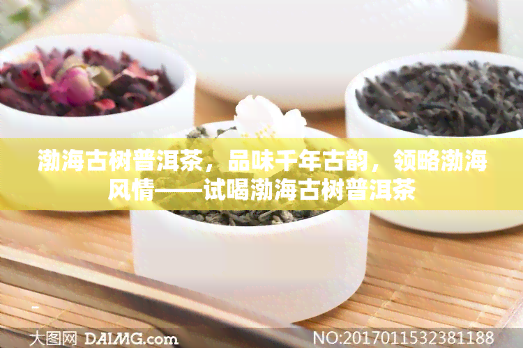 渤海大树普洱茶生茶怎么喝