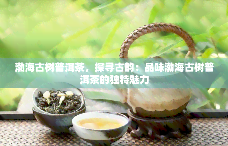 渤海大树普洱茶生茶怎么喝