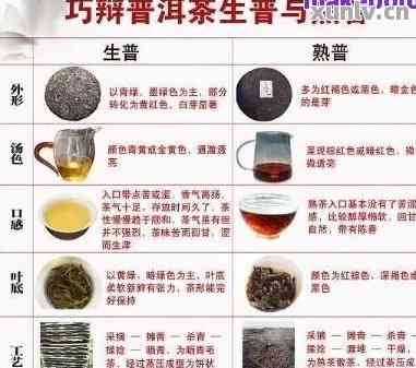 哪个的普洱茶品质？全面解析各类的特点与优劣