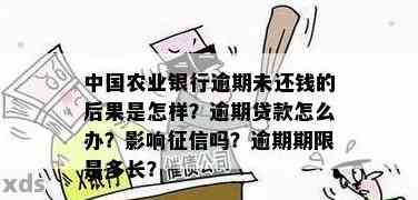 农业银行贷款逾期1个月的后果及解决方法，您是否需要了解更多？