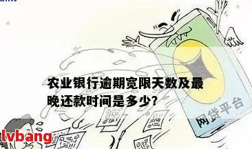 农行贷款逾期半个多月有影响吗