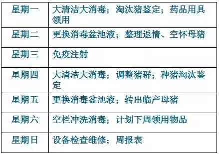 新 26号还款日策略指南：如何避免逾期与优化资金流动