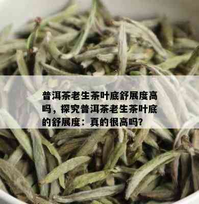 云南保山普洱茶特点介绍，以哪款最为出名？