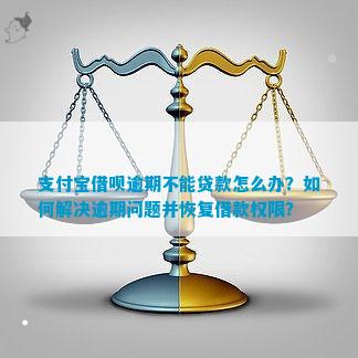 关于借呗被停止使用的法律问题解析：你的权利与责任