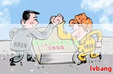 新 贷款违约行为引发的法律纠纷：严重逾期与非法占有的探讨