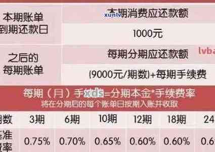 掌上生活应用：如何查看信用卡到期日，让你免受逾期困扰