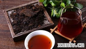 纯正云南大叶种普洱茶：帝泊洱速溶茶，浓烈回，一键冲泡，方便快捷