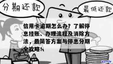 逾期前是否可申请停息分期：解答与探讨